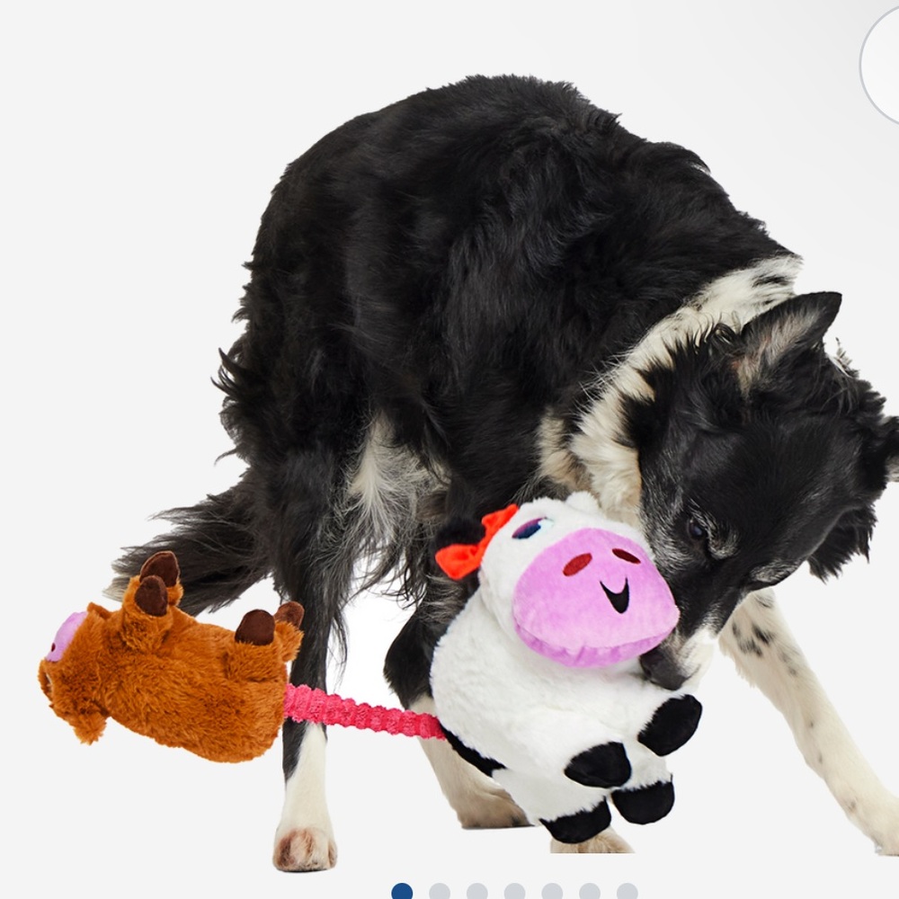 Bark Box XL toys Bertha the cow TikTok viral dog toy NEW 2 large toys & bungee